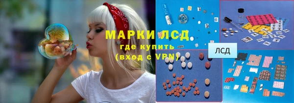 эйфоретик Вяземский