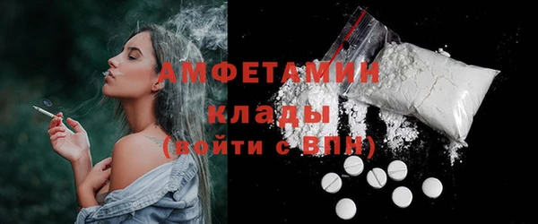 гидра Вязьма
