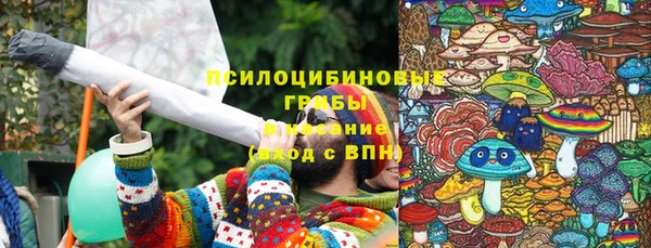 мдпв Горно-Алтайск
