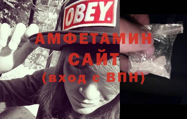 гидра Вязьма