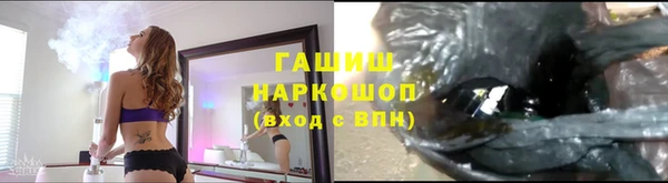эйфоретик Вяземский