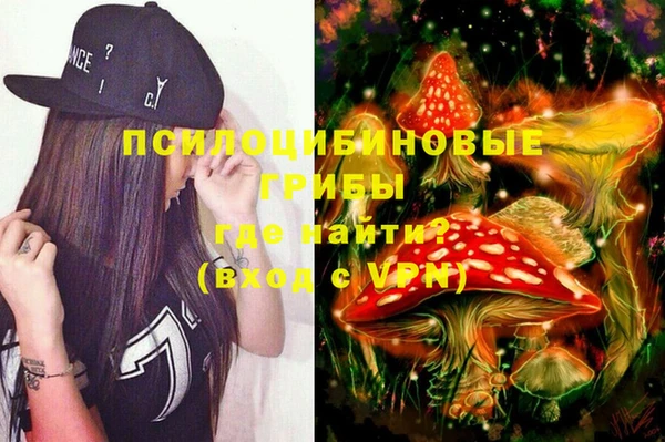 spice Горнозаводск