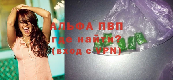 эйфоретик Вяземский