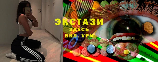 гидра Вязьма