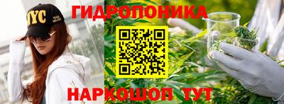 прущая мука Ачхой-Мартан