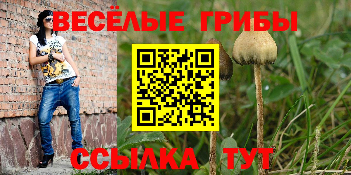 Галлюциногенные грибы прущие грибы Заринск