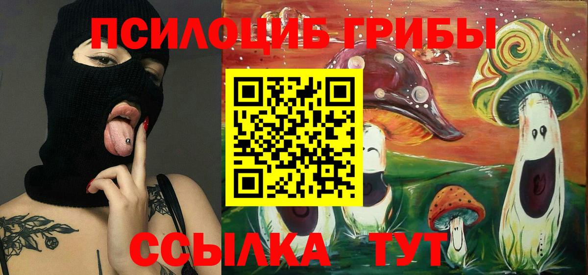 Галлюциногенные грибы Psilocybe  Вход с VPN  Псилоцибиновые грибы GOLDEN TEACHER  Заринск 